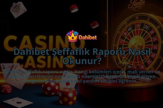 Dahibet-Seffaflik-Raporu-Nasil-Okunur-overlay-1786649246.jpg