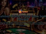 Dahibet-Online-Casino-Oyun-Secim-Matrisi-overlay-1788762104.jpg